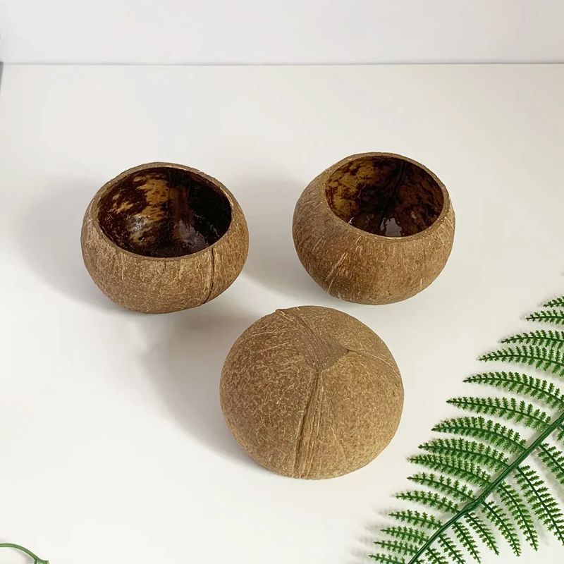 Coconut Candle Bowl Party Deco - Candle Making Homewood ulasan dan harga