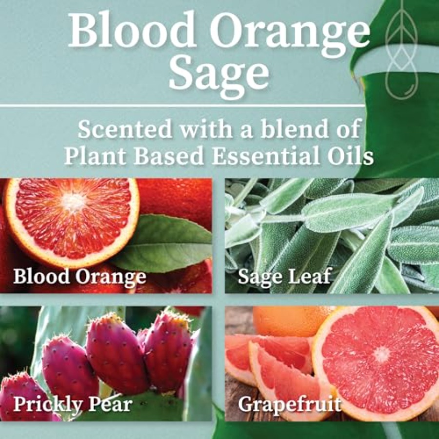 Blood Orange Sage Apothecary H - Wood Wick Crackle ulasan dan harga