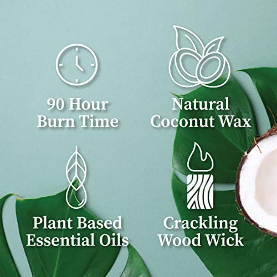 Blood Orange Sage Apothecary H - Wood Wick Crackle ulasan dan harga