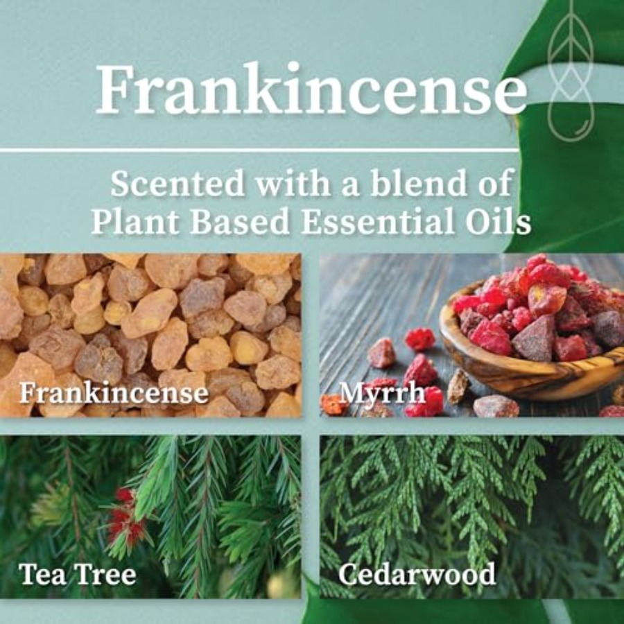 Crackling Wood Wick Candle Han - Wood Wick Crackle ulasan dan harga