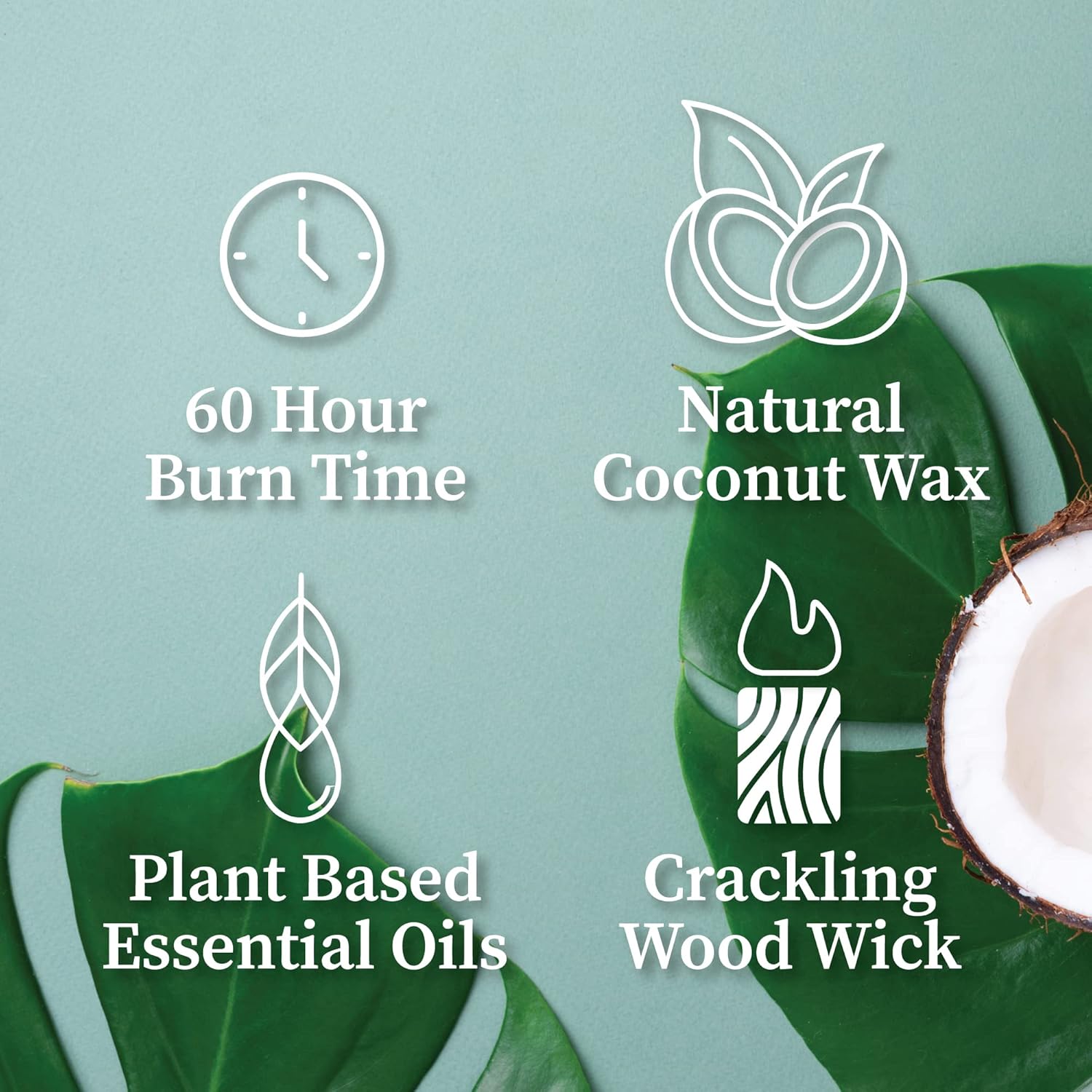 Hand-Poured Scented Candle Wit - Wood Wick Crackle ulasan dan harga
